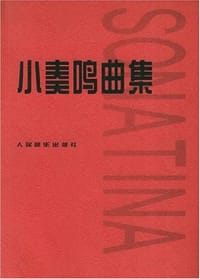 书籍 小奏鸣曲集的封面