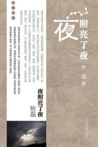 夜照亮了夜