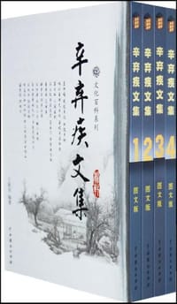 书籍 辛弃疾文集（全四卷）的封面