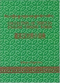 书籍 藏英汉对照小词典的封面