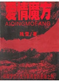 书籍 爱情魔方的封面