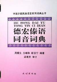 书籍 德宏傣语同音词典的封面