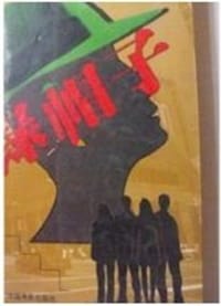 书籍 绿帽子的封面