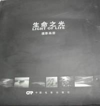 生命之光 - 宋靖