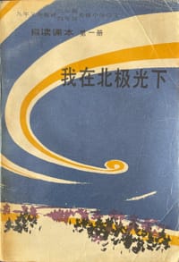我在北极光下