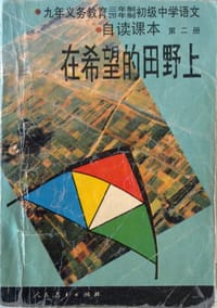书籍 在希望的田野上的封面