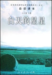 书籍 白天的星星的封面