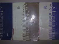 文化：中国与世界 第五辑