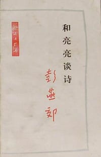 书籍 和亮亮谈诗的封面