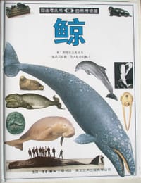 目击者丛书 鲸 - 无名图书