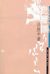 书籍 走着瞧的封面