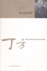 我心在高原 - 丁方