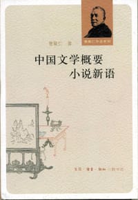 书籍 中国文学概要 小说新语的封面