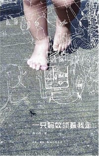 一只蚂蚁领着我走