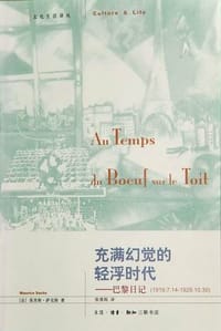 充满幻觉的轻浮时代 - [法]莫里斯·萨克斯