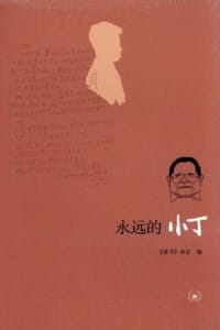 永远的小丁