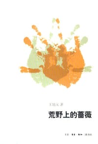 书籍 荒野上的蔷薇的封面