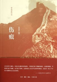 书籍 伤痕的封面