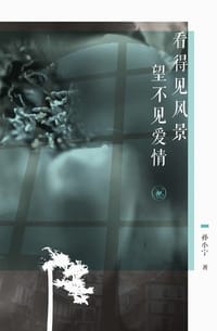 看得见风景 望不见爱情 - 孙小宁