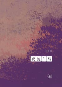 夜驰白马 - 权聆