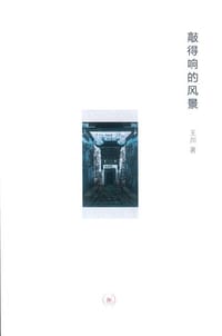 敲得响的风景 - 王川
