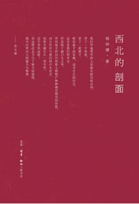 书籍 西北的剖面的封面