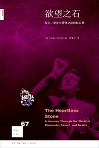 书籍 欲望之石的封面