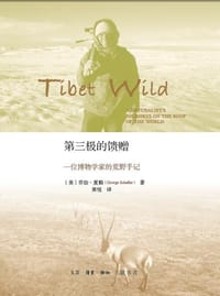 第三极的馈赠