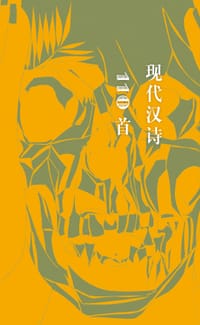 书籍 现代汉诗110首的封面