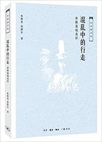 书籍 混乱中的行走的封面