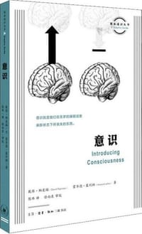 意识 - 戴维·帕皮瑙