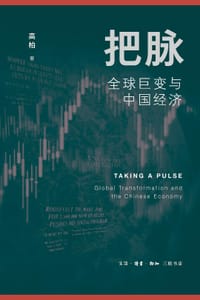 书籍 把脉：全球巨变与中国经济的封面
