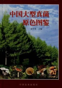 书籍 中国大型真菌原色图鉴的封面