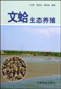 文蛤生态养殖