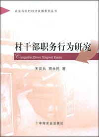 村干部职务行为研究