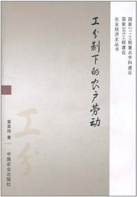 书籍 工分制下的农户劳动的封面