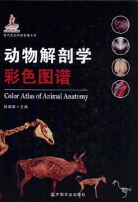 动物解剖学彩色图谱 现代农业科技专著大系 - 陈耀星主编