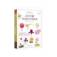 500种常见花卉识别图鉴（彩图典藏版）
