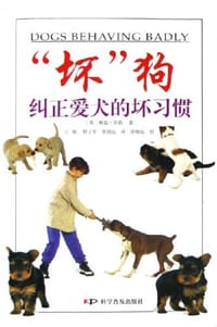 坏狗
