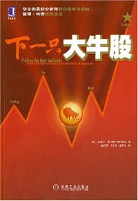 下一只大牛股 - 迈克尔·莫