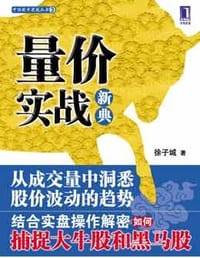 书籍 量价实战新典的封面