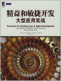 书籍 精益和敏捷开发大型应用实战的封面