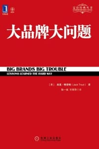书籍 大品牌大问题的封面