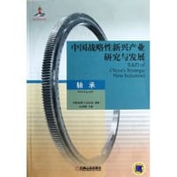 中国战略性新兴产业研究与发展 轴承