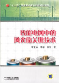 书籍 智能电网中的风光储关键技术的封面