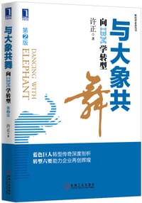 书籍 与大象共舞的封面