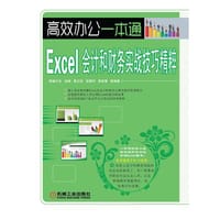Excel会计和财务实战技巧精粹 - 无名图书
