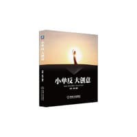 书籍 小单反 大创意的封面