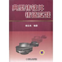 典型铸铁件铸造实践 - 谢应良 著