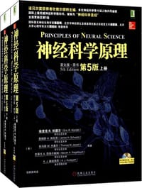 神经科学原理 - （美）埃里克 R. 坎德尔